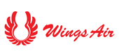 wings air 1